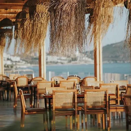 Barracuda 3* Sarandë