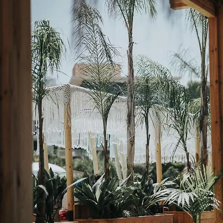 Barracuda Hotel
